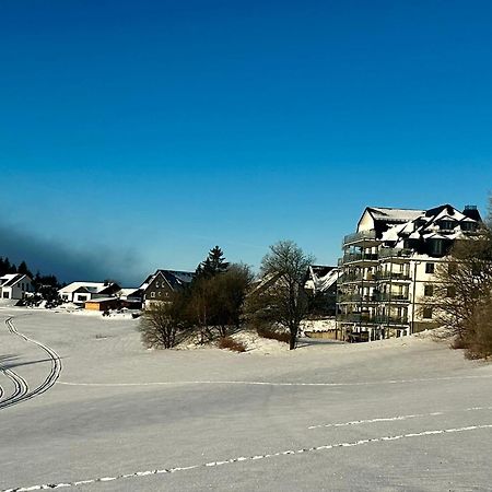 Astenblick Apartments Winterberg With Sauna Luaran gambar