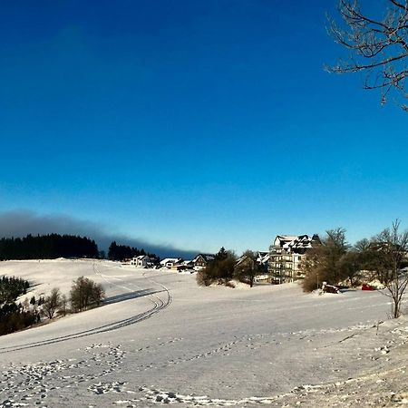 Astenblick Apartments Winterberg With Sauna Luaran gambar